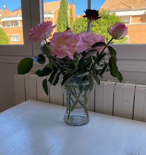 Koti alkaa näyttämään&nbsp;kodilta